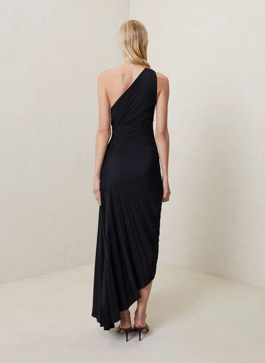 Halterneck Wedding Guest Pleated Maxi Dress for Women - View 24