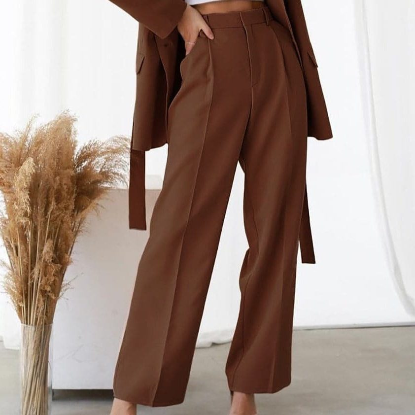 Wide Leg Pleated Trousers for Women - Brown